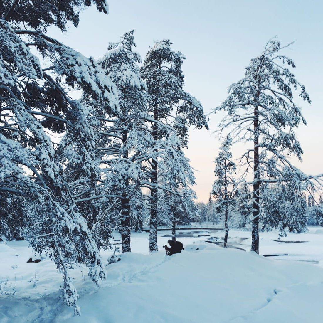 10 Gründe, warum Finnland das glücklichste Land der Welt ist