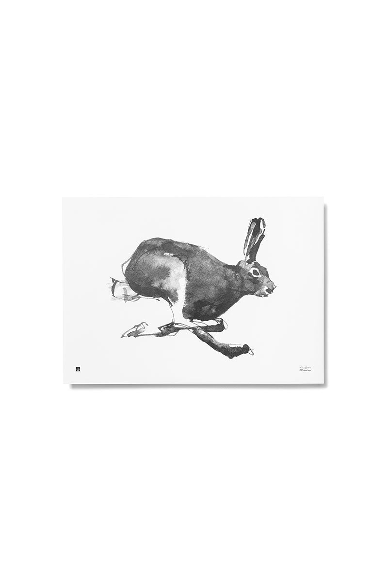 Poster, Mountain Hare - Poster - Teemu Järvi Illustrations - 65° NORD - 65 Grad Nord - Scandinavian Concept Store - Skandinavisch wohnen - Skandistil - Skandinavien - Skandinavisch - Einrichtungsstil - Geschmack
